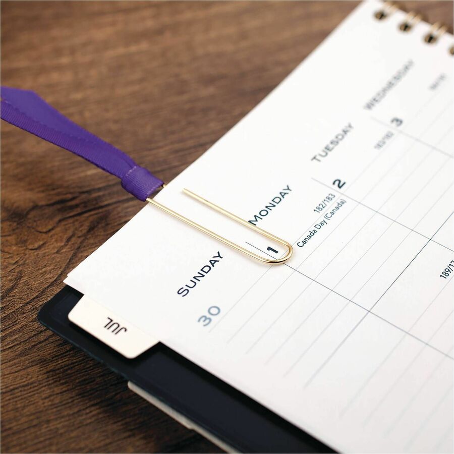 ACCO Paper Clips