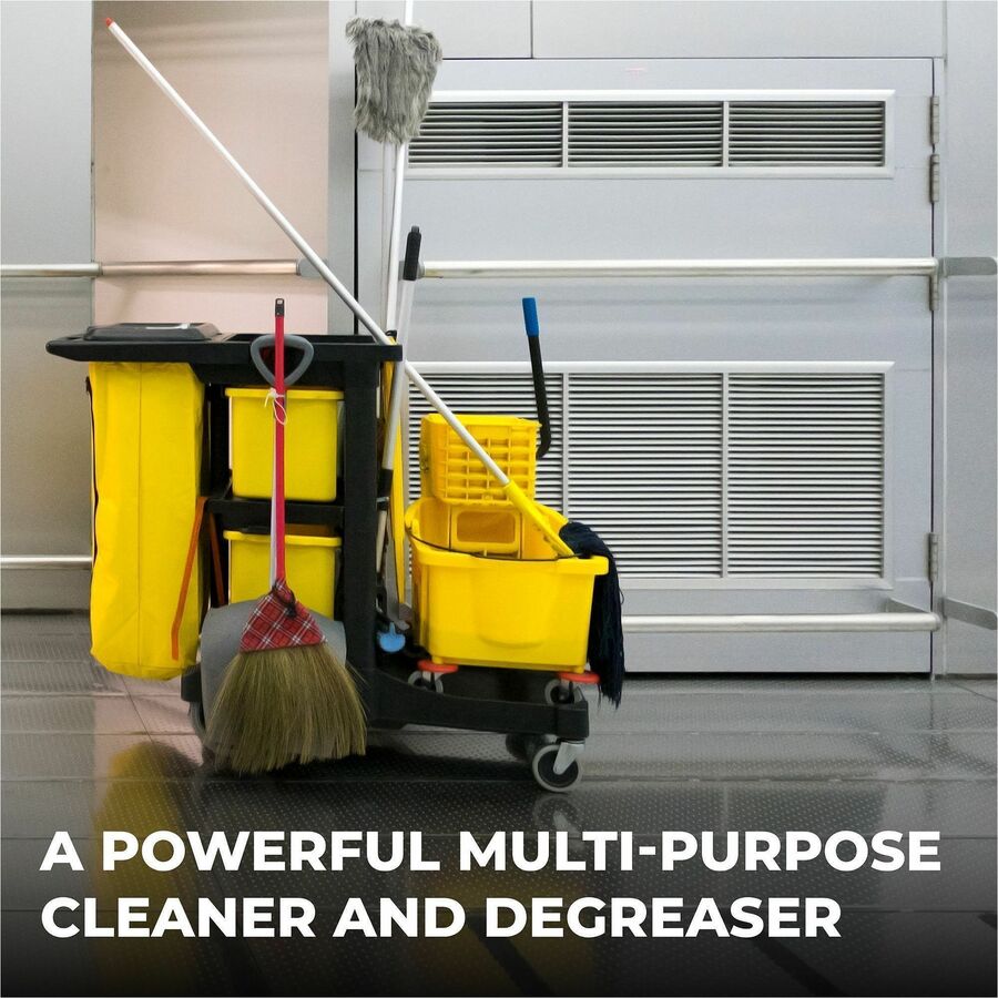 Simple Green All-purpose Cleaner Concentrate
