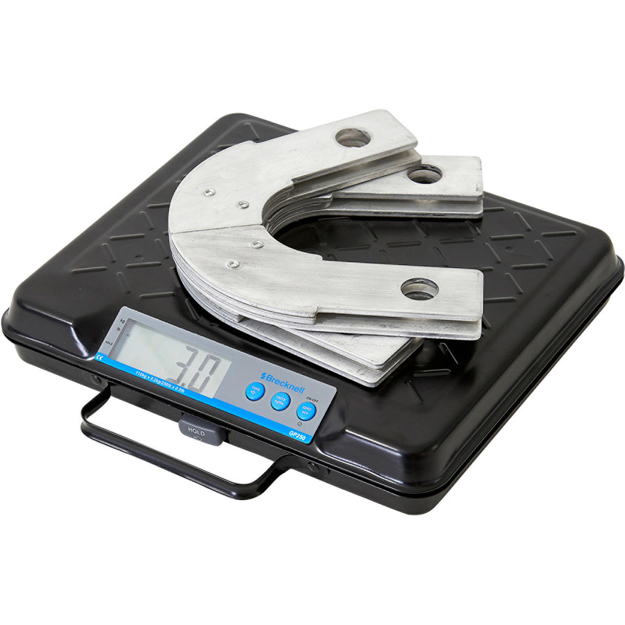 Brecknell Digital Bench Scale
