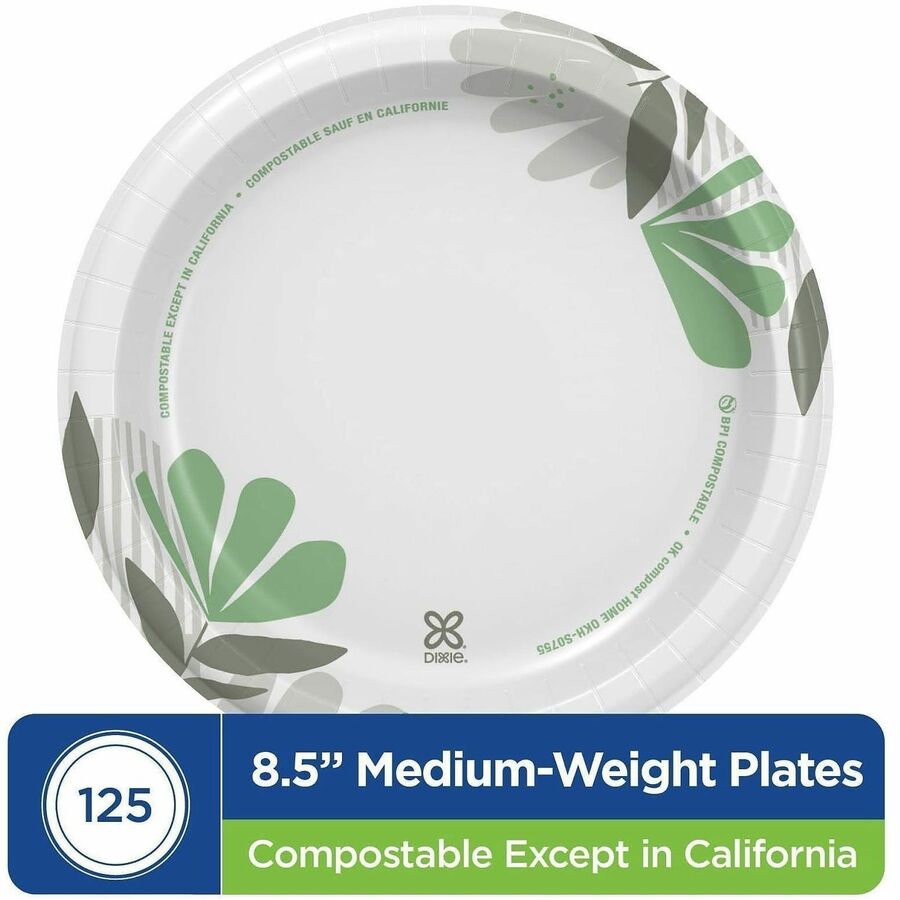 Dixie Foods Pathways Everyday Paper Plates
