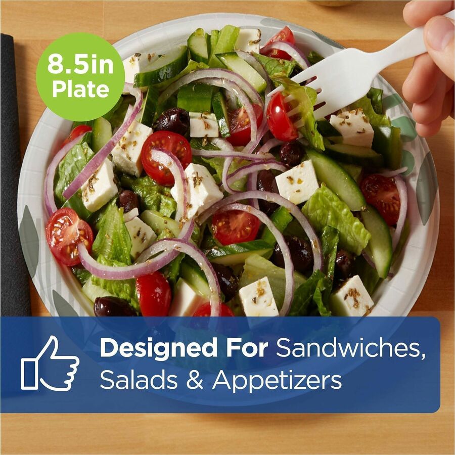 Dixie Foods Pathways Everyday Paper Plates