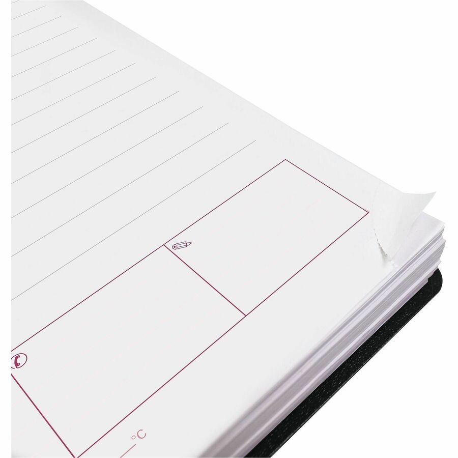 Brownline DuraFlex Daily Appointment Book / Monthly Planner