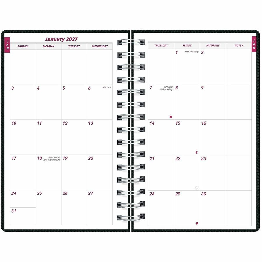 Brownline DuraFlex Daily Appointment Book / Monthly Planner