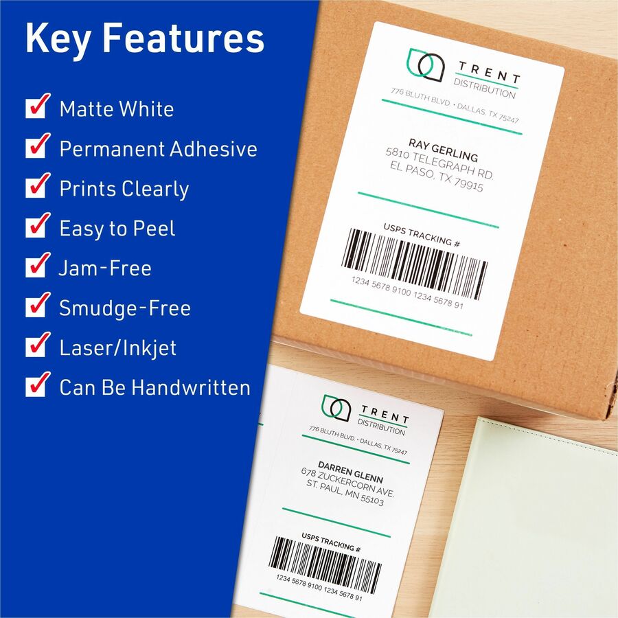 Avery® Shipping Address Labels, 250 Labels, Full Sheet Labels, Permanent (95920)