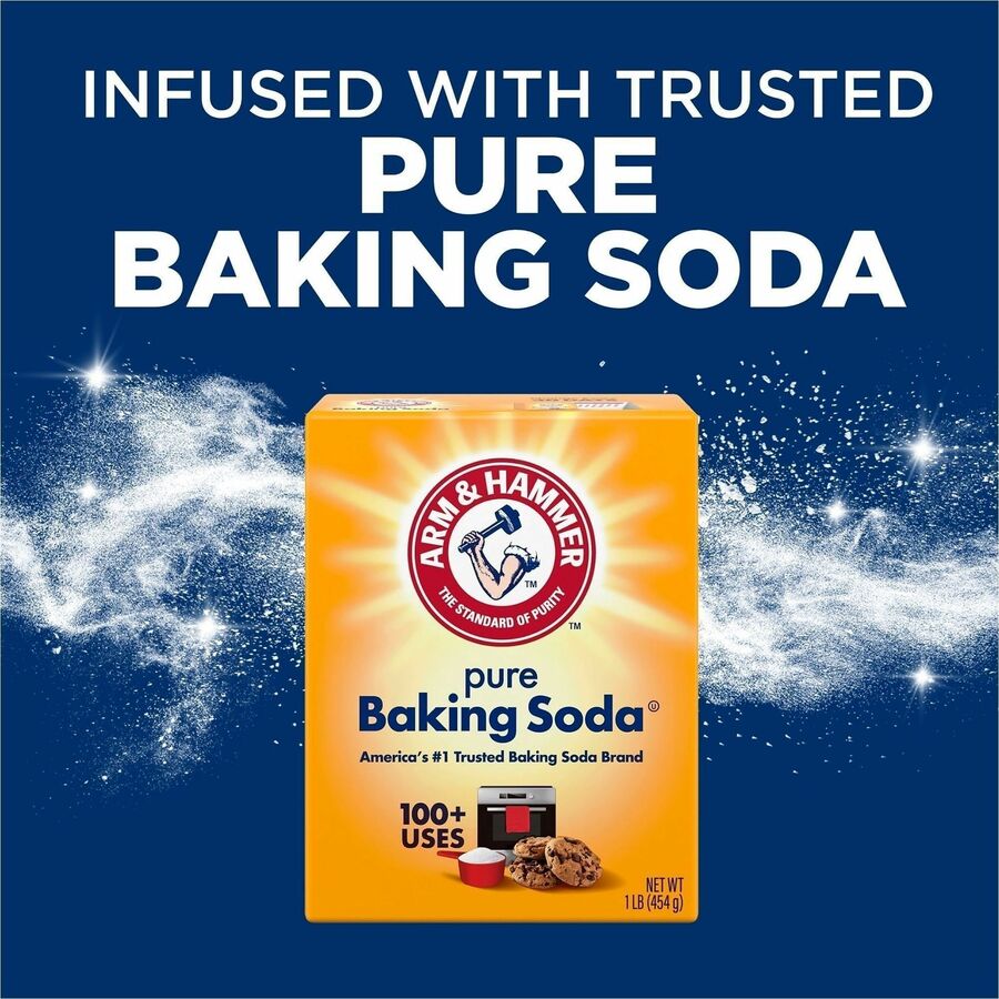 Arm & Hammer Trash Can Deodorizer