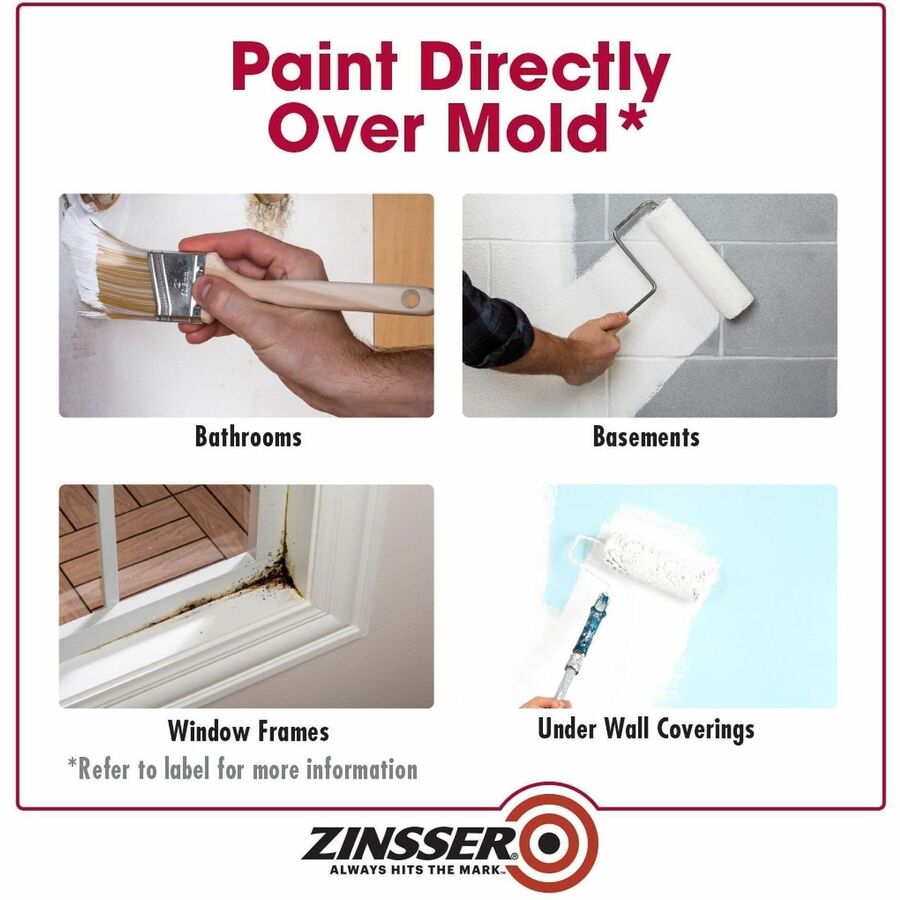 Zinsser Mold Killing Primer