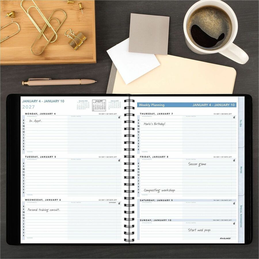 At-A-Glance Action PlannerAppointment Book Planner