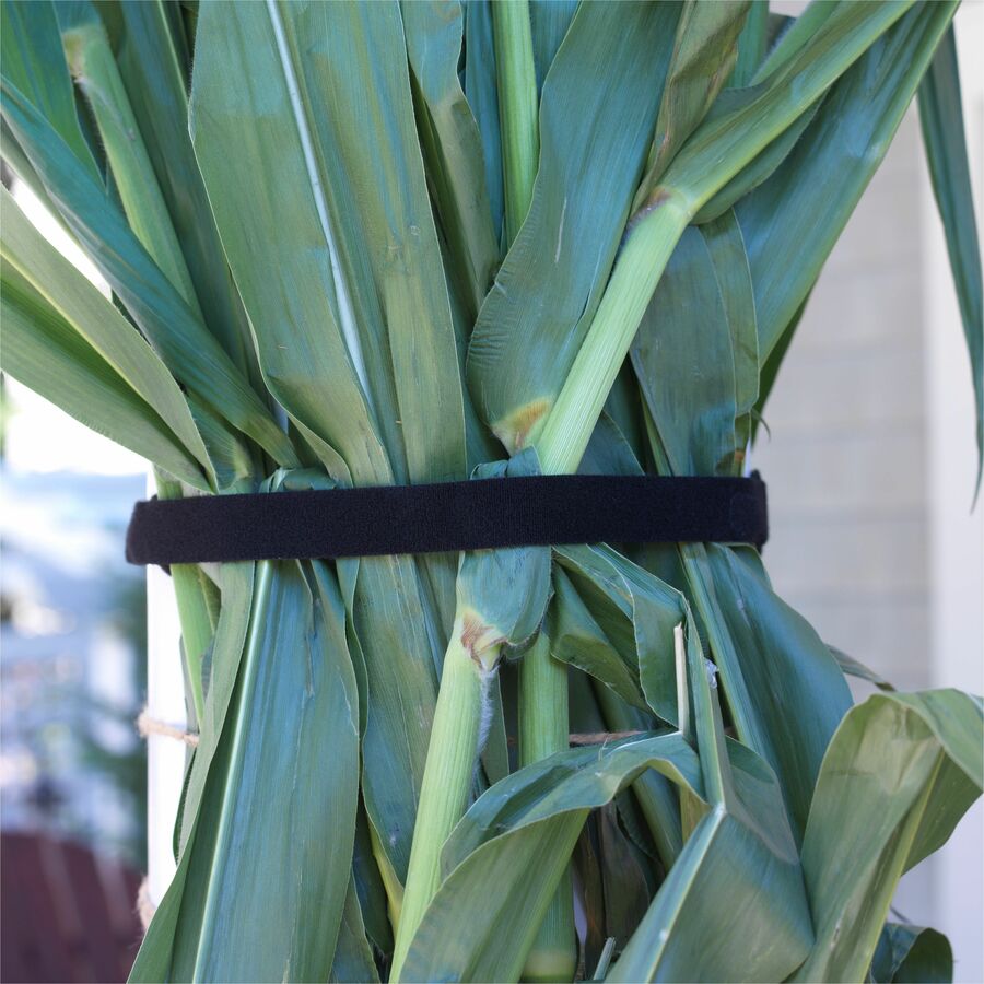 VELCRO® ONE-WRAP Roll 12ft x 3/4in Roll Black