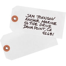 Avery&reg; Tyvek Tags, Unstrung, 4-3/4" x 2-3/8", 1,000 Tags (12445)
