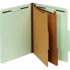 Pendaflex 2-divider Recycled Classification Folders
