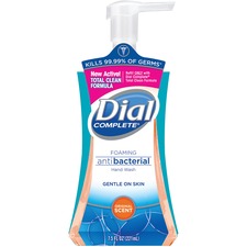 Dial Complete Foaming Hand Wash