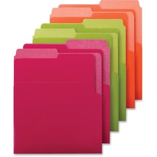 Smead Organized Up&reg; Heavyweight Vertical File Folder