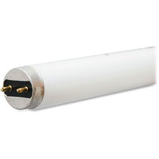 GE Lighting 25-watt Ecolux T8 Fluorescent Lamp