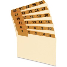 Oxford Lamianted Index Card Guides
