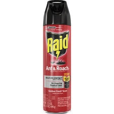 Raid Ant & Roach Killer Outdoor Fresh Scent 17.5 oz