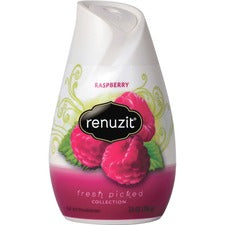 Dial Renuzit Aroma Raspberry Air Freshener