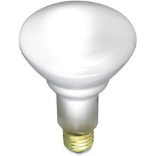 Satco 65-watt BR30 Incandescent Floodlight