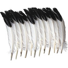 Creativity Street Imitation Eagle Feathers