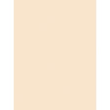 Pacon Medium Weight Manila Tagboard