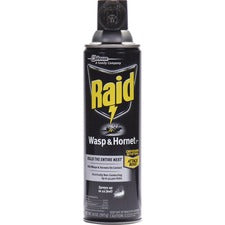 Raid Wasp/Hornet Killer Spray