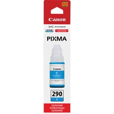 Canon PIXMA GI-290 Ink Bottle