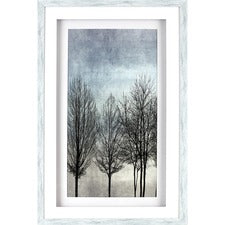 Lorell Naked Tree Shadow Box Design Framed Art