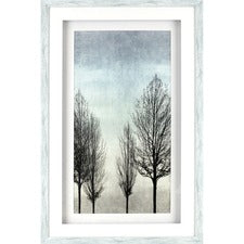 Lorell Naked Tree Shadow Box Design Framed Art