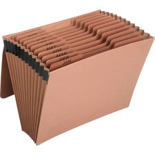 SKILCRAFT 12-pocket Flap Close Expanding File