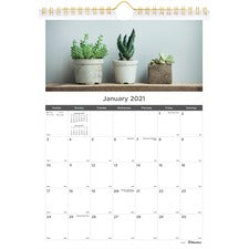 Rediform Succulent Plants Wall Calendar