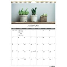 Rediform Succulent Plants Wall Calendar
