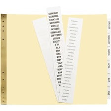 Avery® Data Binder Insertable Dividers