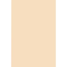 Pacon Tagboard