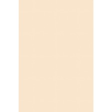 Pacon Tagboard